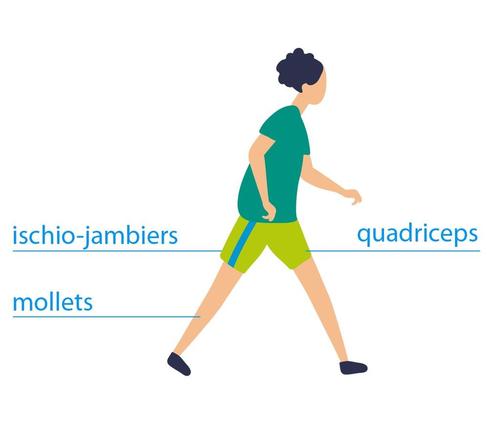 ad_HEEL_sporten FR.jpg
